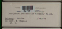 Image Associated With the Occurence